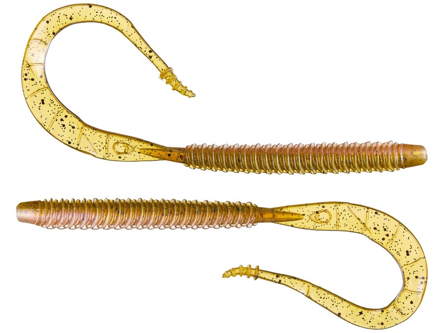 Ribbon Tail Worm